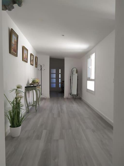 Апартаменты Espectacular Piso En La Misma Plaza Del Mentidero. Кадис Экстерьер фото